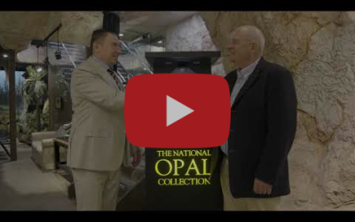 NLNA | VANA Video Newsletter November 2023 Ep.34